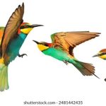 99488开奖结果揭晓,幸运号码震撼出炉 3lm8glz