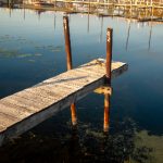 真人百家乐的魅力:体验真实赌场的刺激与乐趣 4tq39p1