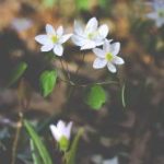 99开奖网125最新开奖结果查询与中奖号码公布 gem8o2u51a